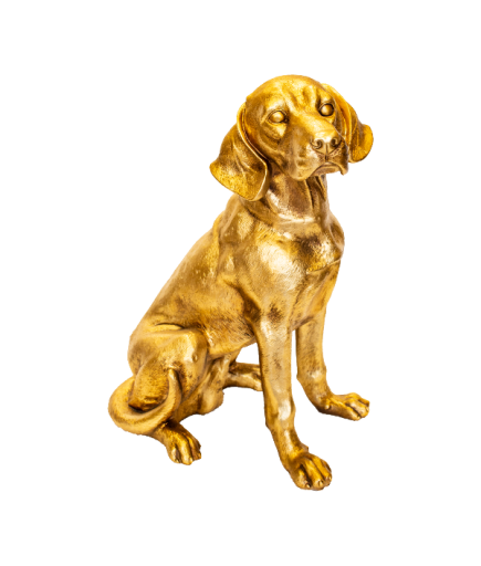 AV KÖPEĞİ C 4241 BİBLO