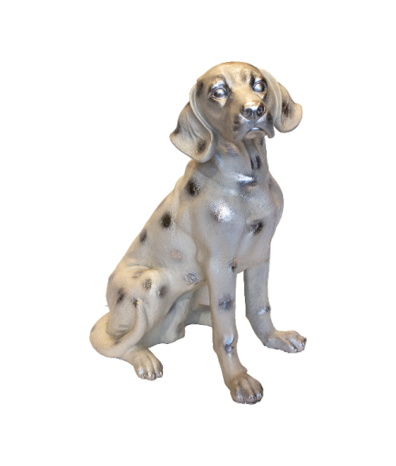 AV KÖPEĞİ C 4241 BİBLO