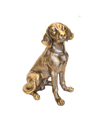 AV KÖPEĞİ C 4241 BİBLO