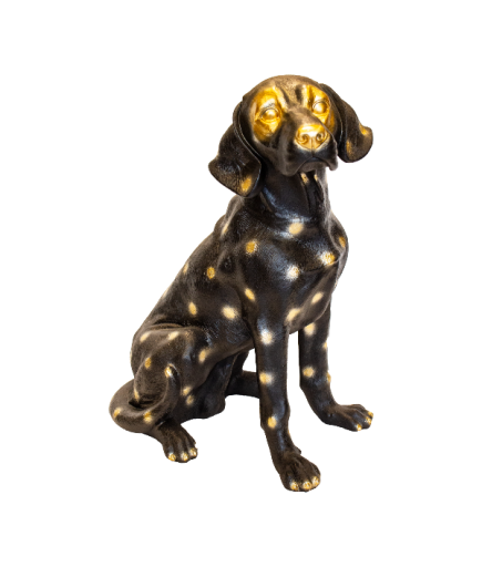 AV KÖPEĞİ C 4241 BİBLO