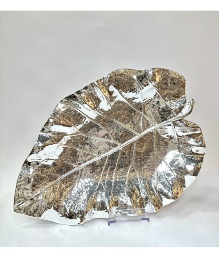 KAPLAMA DEV YAPRAK GAGA-004