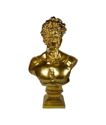 C 0076 BÜYÜK DAVUT BÜST