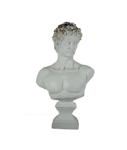 C 0076 BÜYÜK DAVUT BÜST