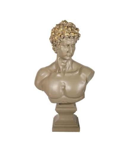 C 0076 BÜYÜK DAVUT BÜST