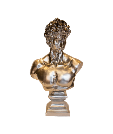 C 0076 BÜYÜK DAVUT BÜST