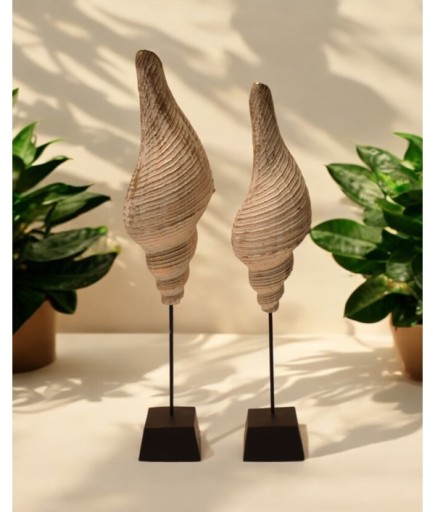2'li Dekoratif Deniz Kabuğu Obje Biblo