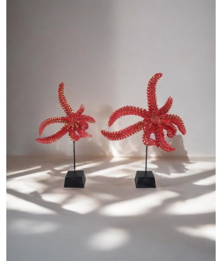 2'li Deniz Yıldızı Dekoratif Obje C 4078