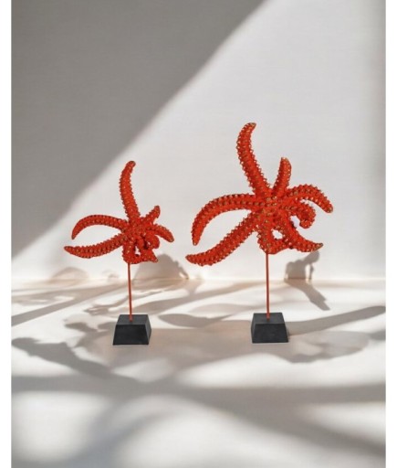 2'li Deniz Yıldızı Dekoratif Obje C 4078