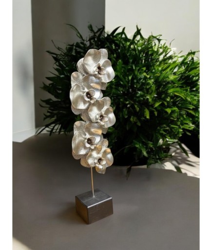 ORKİDE BİBLO 571 C 4217