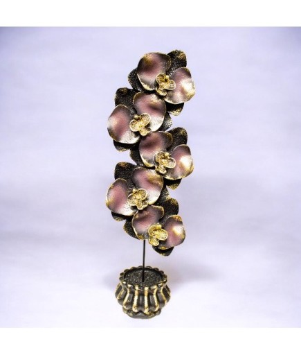 ORKİDE BİBLO 571 C 4217