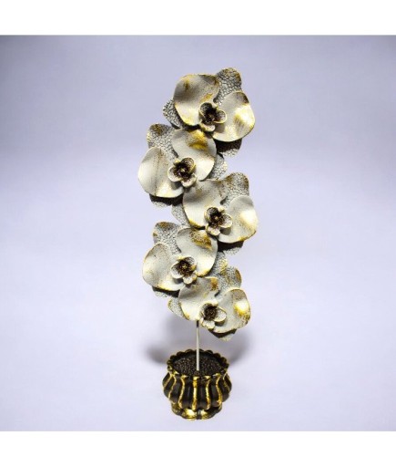 ORKİDE BİBLO 571 C 4217