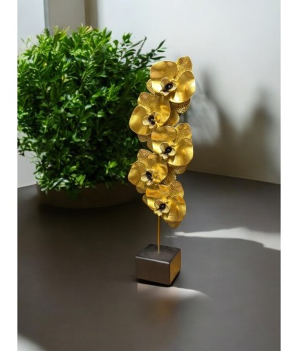 ORKİDE BİBLO 571 C 4217