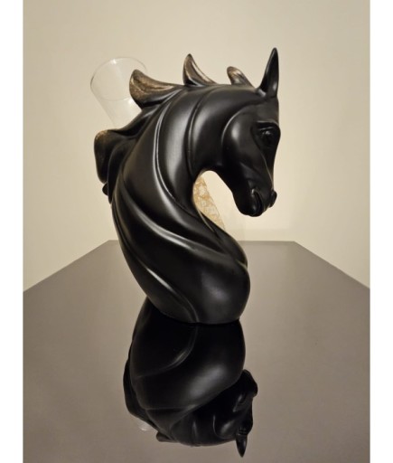 AT ŞİŞELİK SİYAH